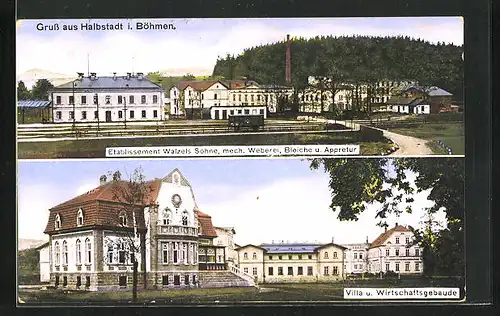 AK Halbstadt, Etablissement Walzerls Söhne, mech. Weberei, Bleiche und Appretur, Villa und Wirtschaftsgebäude