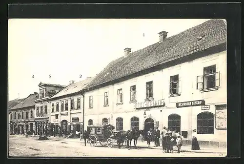 AK Horice, Hotel Beranek, Rodny dum Venceslavy Luzicke Vlad. Srba.