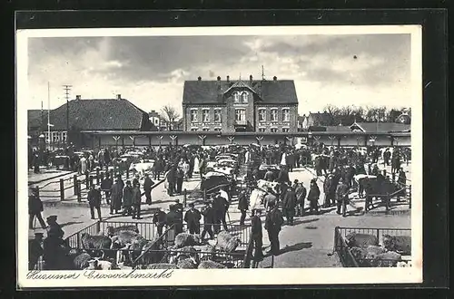 AK Husum, Belebter Grossviehmarkt