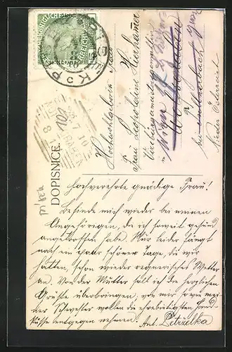 AK Pisek, z lesa Hradiste, Ortsansicht