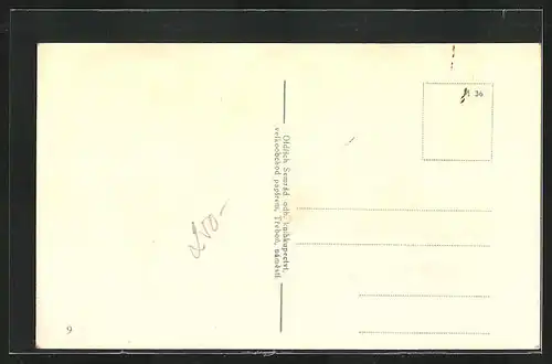 AK Trebon, Strassenpartie mit Hotel, Tor und Geschäft, Denkmal