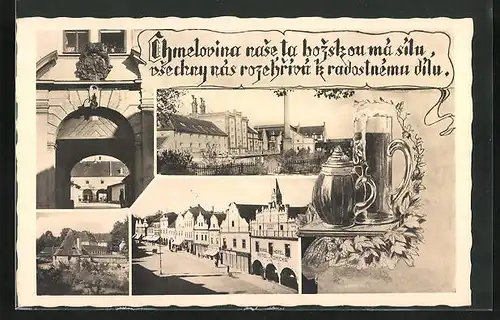 AK Trebon, Strassenpartie mit Hotel, Tor, Denkmal