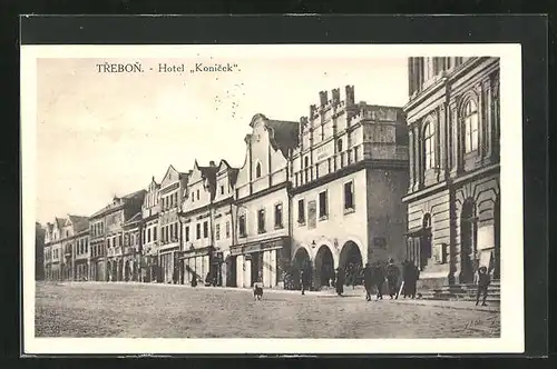 AK Trebon, Hotel Konicek