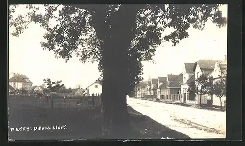 Foto-AK Pecky, Villova ctvrt