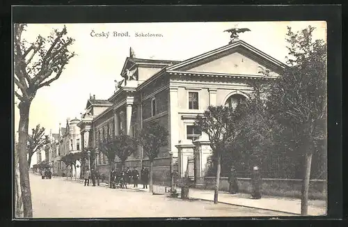 AK Cesky Brod, Sokolovna