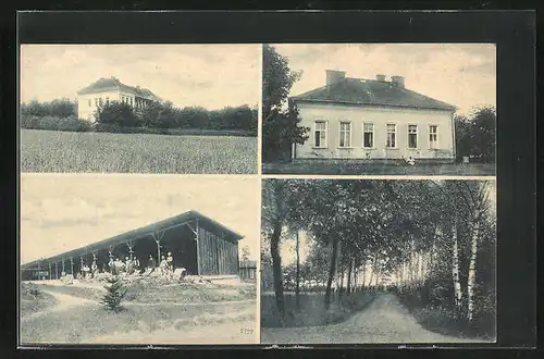 AK Kostelec nad Cernymi lesy, Zemska lecebna