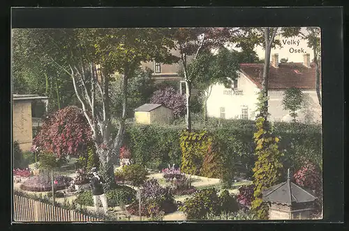 AK Velky Osek, Garten mit Blumenbeeten