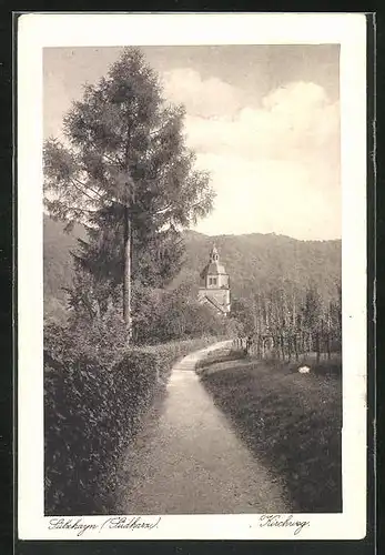 AK Sülzhayn /Südharz, Strase Kirchweg mit Bäumen