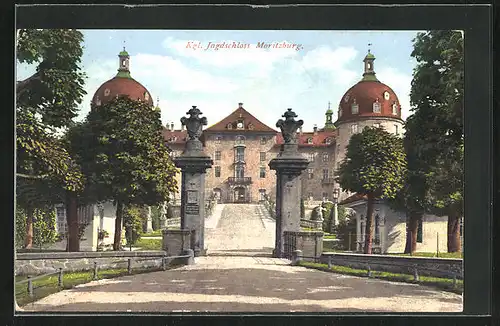AK Moritzburg, Königliches Jagdschloss