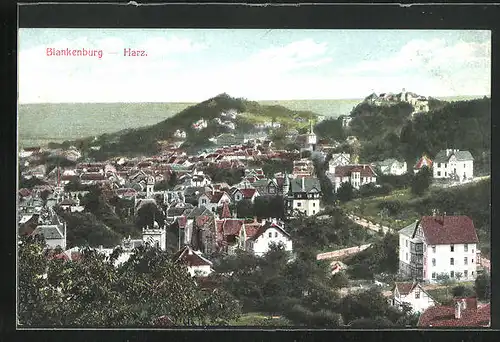 AK Blankenburg /Harz, Teilansicht, Harz-Zahnrad-Bahn Blankenburg-Rübeand-Tanne