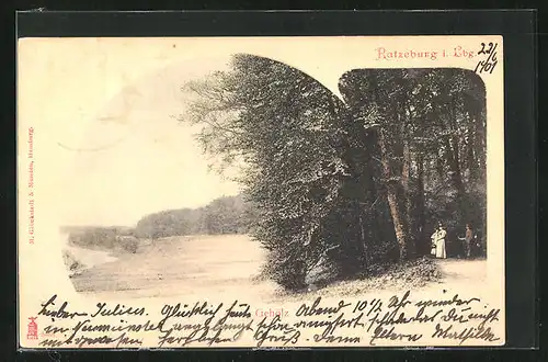 AK Ratzeburg i. Lbg., Gehölz