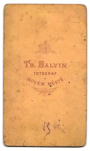 Fotografie Th. Balvin, Nové M&#283sto na Morav&#283, Portrait modisch gekleidete Dame mit Mädchen auf dem Schoss, Mutte