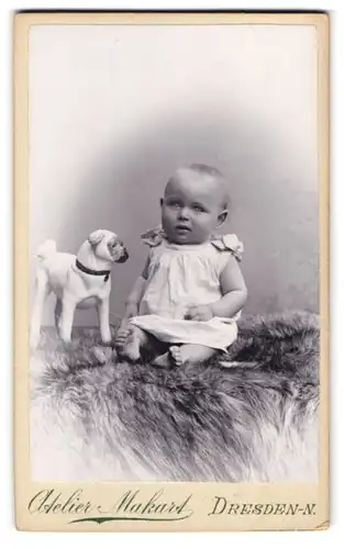 Fotografie Otto Wendt, Dresden-N., Bautznerstrasse 29, Portrait süsses Kleinkind im Kleid mit Spielzeughund
