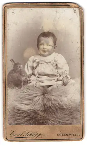 Fotografie Emil Schlippe, Cölln a. Elbe, Portrait süsses Kleinkind im Kleid mit einem Spielzeughasen