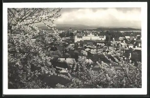 AK Rychnov n. Kn., Panorama im Frühling