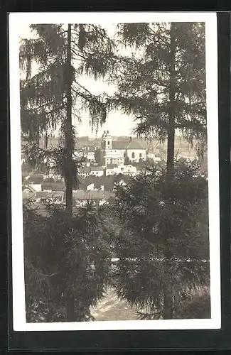 AK Adler Kosteletz / Kostelec nad Orlici, Ortspartie mit Kirche