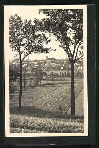 AK Adler Kosteletz / Kostelec nad Orlici, Panorama aus der Ferne