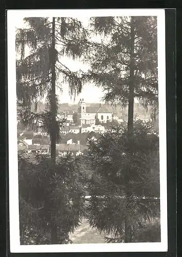 AK Adler Kosteletz / Kostelec nad Orlici, Kirche von Anhöhe aus