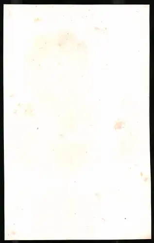 Lithographie Garrick, Tragédien Anglais, 14 x 22cm