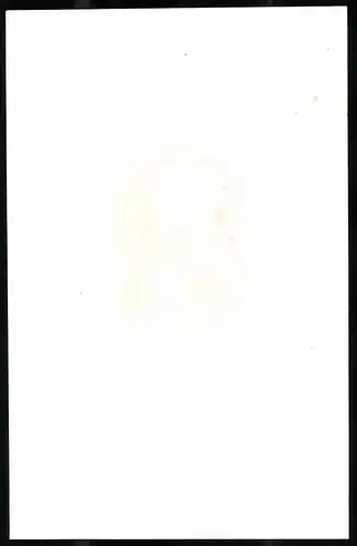 Lithographie Walter Scott, Sculp.: L. Sichling, 12 x 16cm
