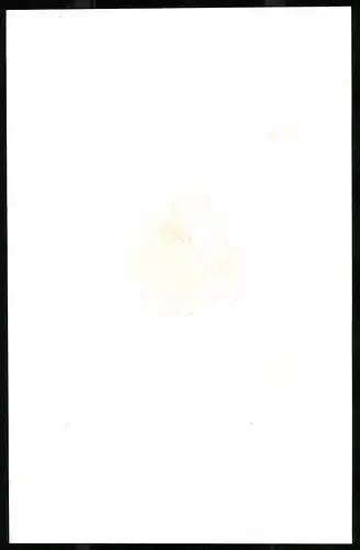 Lithographie James Watt, Sculp.: A. Zschokke, 12 x 16cm