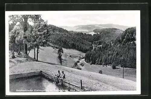 AK Grafengehaig im Frankenwald, Blick ins Tal