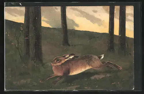 Künstler-AK Alfred Mailick: Hase rennt durch den Wald