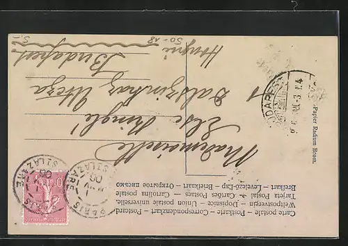 AK Kleines Mädchen mit Schweinekarren