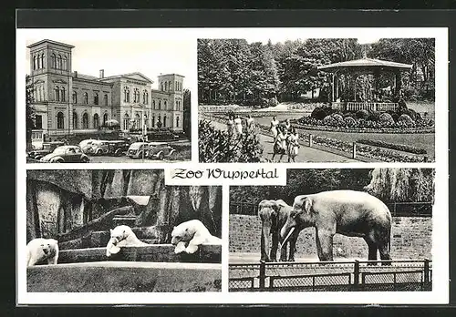 AK Wuppertal, Eisbären und Elefanten im Zoo