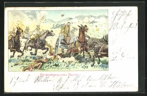 AK Soldaten mit durchgehenden Maultieren, Burenkrieg