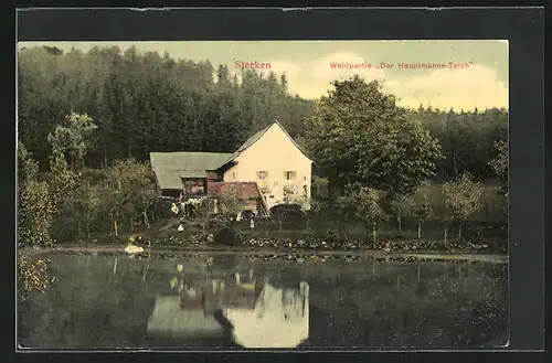 AK Stecken, Waldpartie Der Hauptmanns-Teich