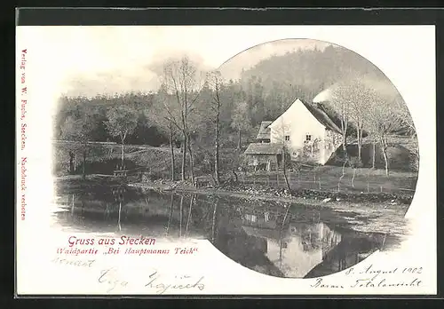 AK Stecken, Waldpartie Bei Hauptmanns Teich