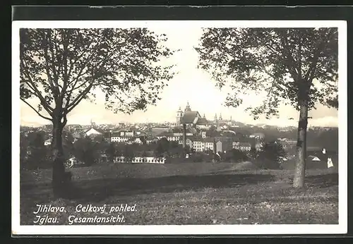 AK Jihlava, Celkovy pohled