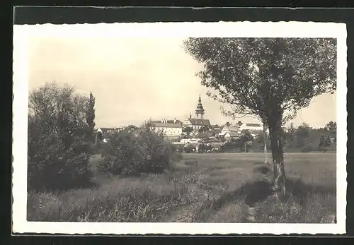 AK Mor. Budejovice, Celkovy pohled