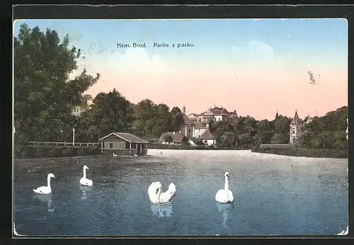 AK Nem. Brod, Partie z parku
