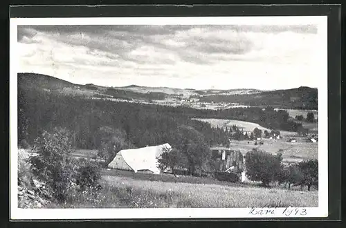 AK Krizánky, Haus am Wald