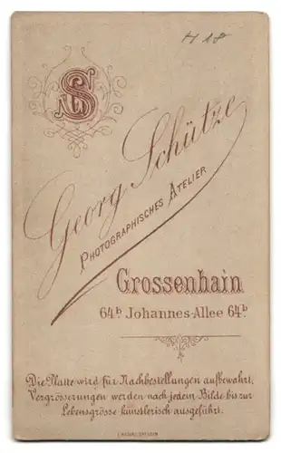 Fotografie Georg Schütze, Grossenhain, Johannes-Allee 64b, Husar in Uniform mit Säbel an Brüstung lehnend