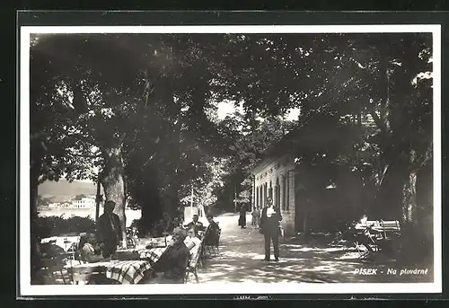 AK Pisek, Na plovárne, Restaurace