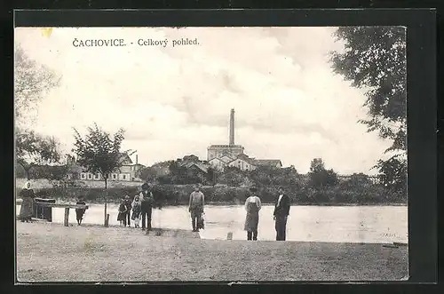 AK Cachovice, Celkovy pohled