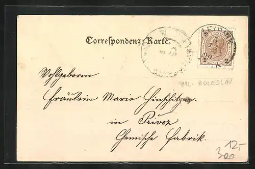 AK Leipnik, Kaiser Franz Josef-Jubiläums-Krankenhaus