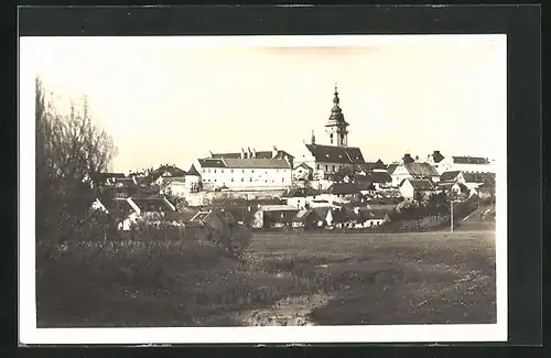 AK Mor Budejovice, Panorama