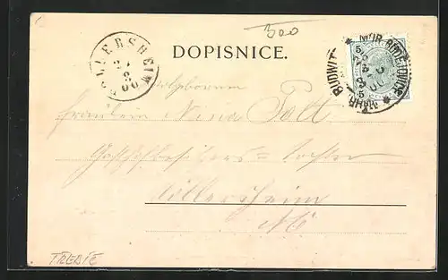 AK Mor. Budejovic, Panorama