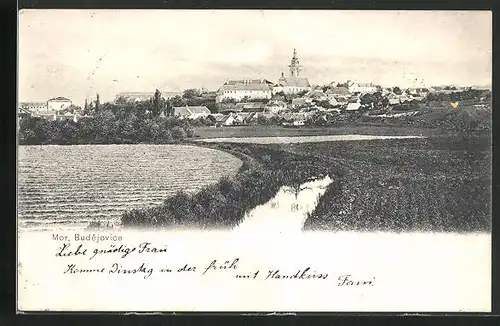 AK Mor. Budejovice, Panorama
