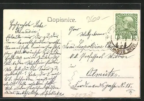 AK Mor. Budejovice, Panorama