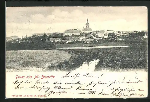 AK M. Budwitz, Panorama