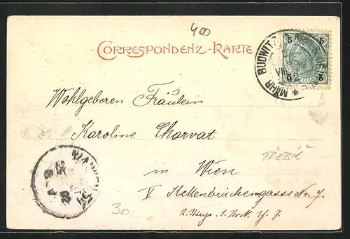 AK M. Budwitz, Panorama