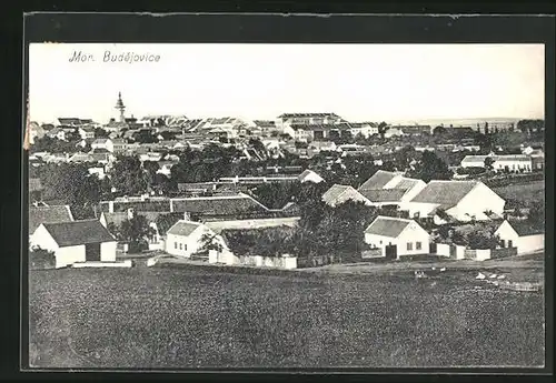 AK Mor. Budejovice, Panorama