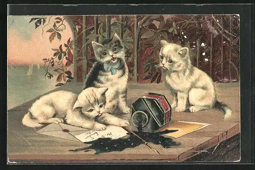 Lithographie Katzen auf dem Schreibtisch mit Brief und Tintenfass