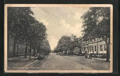 AK Hasselfelde /Harz, Blick in die Breitestrasse
