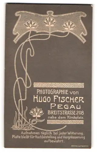 Fotografie Hugo Fischer, Pegau, Breitstrasse 208, Pflanze mit Blüten, Vorderseite: Kleinkind im Kleid